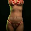 Bouquet Boutique .  Lastik Harness Sütyen Külot Takım