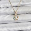 Bouquet Bouqtique 316L Çelik Zincir Gold Renk Balık Model Zirkon Taşlı Kadın Kolye BQT35BKO10885