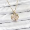 Bouquet Bouqtique 316L Çelik Zincir Gold Renk Şans Kolyesi Model Zirkon Taşlı Kadın Kolye BQT35BKO10899