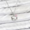 Bouquet Bouqtique 316L Çelik Zincir Gümüş Renk Pembe Taş Detaylı Çelenk Model Kadın Kolye BQT35BKO10902