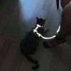 Karanlıkta Yansıyan Reflektörlü Kedi Harness, Özel Tasarım Kedi Harness - NPC007