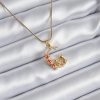 Bouquet Bouqtique 316L Çelik Gold Renk Hilal Kedi Model Zirkon Taşlı Detay Kadın Kolye BQT35BKO8140
