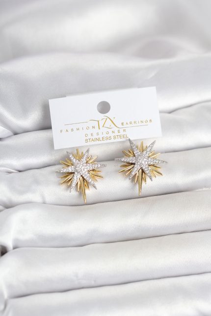 Bouquet Bouqtique Zirkon Taşlı Pirinç Kutup Yıldızı Gold ve Gümüş Renk Kadın Küpe BQT35BKP11782