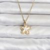 Bouquet Bouqtique 316L Çelik Zincir Gold Renk Deniz Yıldızı Model Kadın Kolye BQT35BKO11084